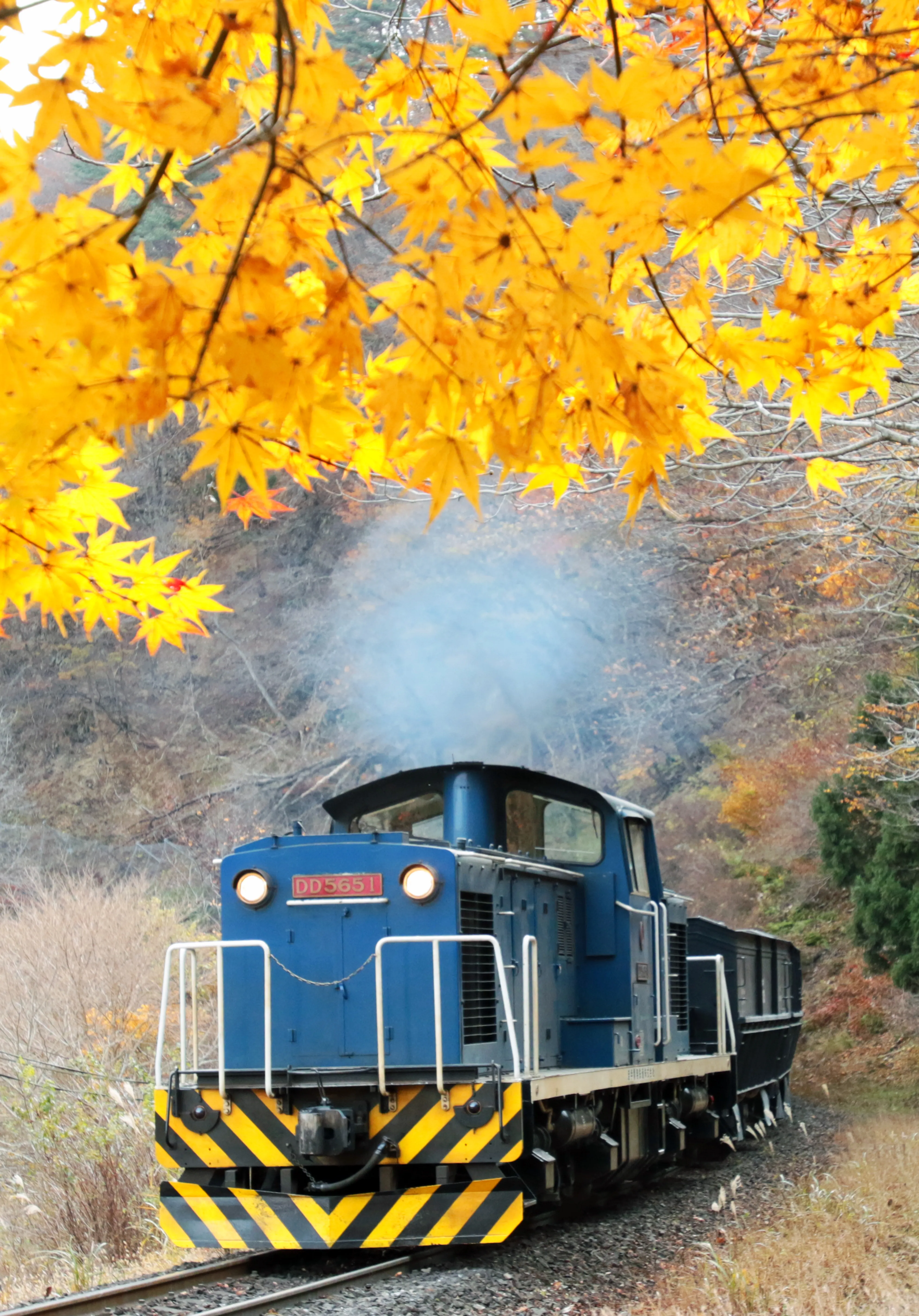 フォトギャラリー